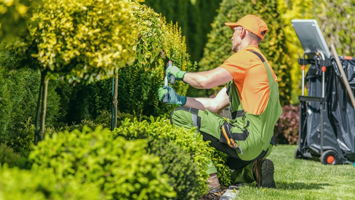 Why Your Landscaping Business Needs Digital Marketing